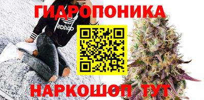 apvp Можга