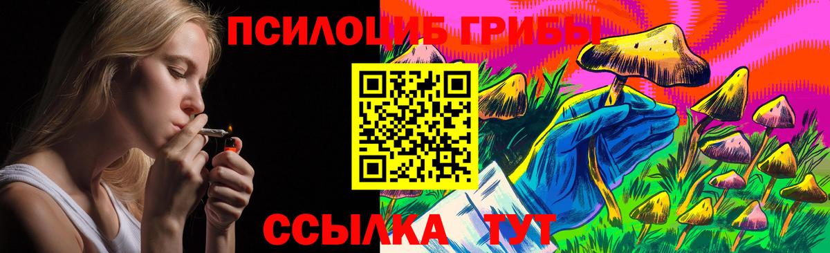 Югорск  Псилоцибиновые грибы прущие грибы  Вход с VPN 