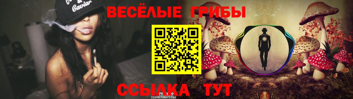 Псилоцибиновые грибы мицелий Югорск